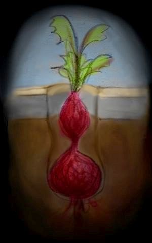 a beet beneath a beet; sketch of a dream by Wayan