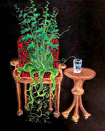 A plant sits in a wooden chair with a red cushion. The roots dangle down like legs. One tendril reaches over to a glass of water on a nearby stand.
