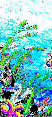 Reefs of the Ri Kshen Islands on Capsica, a hot world.