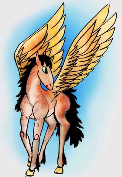 A pegasus colt seen in a dream, with golden wings, black mane and tail, ruddy coat and green eyes.