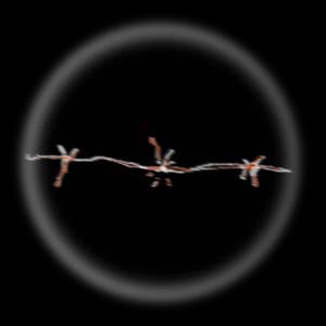 Trapped in barbed wire: a recurring dream.