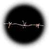 Trapped in barbed wire: a recurring dream.