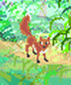 little fox