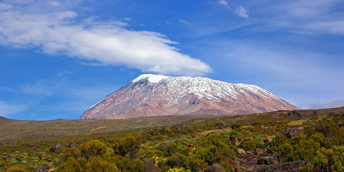 Dry heath on shoulders of Mt. Kilimanjaro. Photo from Kilimanjaro National Park site, not the book I read; my journal omits its title.
