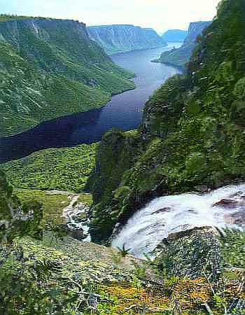 A chilly, winding fjord with dense low trees/brush; waterfall in foreground. Based on a photo of Newfoundland by John Eastcott and Eva Momatiuk.