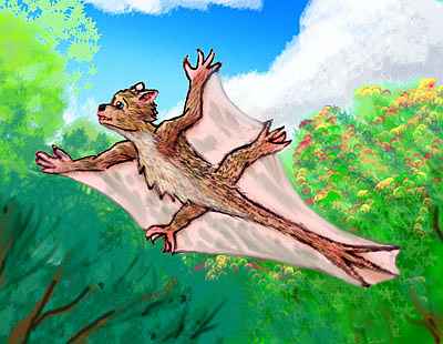 a witweet, a creature like a teddy bear with skin-flaps like a flying squirrel and a long whip-tail, gliding from tree to tree