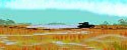 A marsh; a tank rolls by in the distance. Sketch of a dream by Wayan.