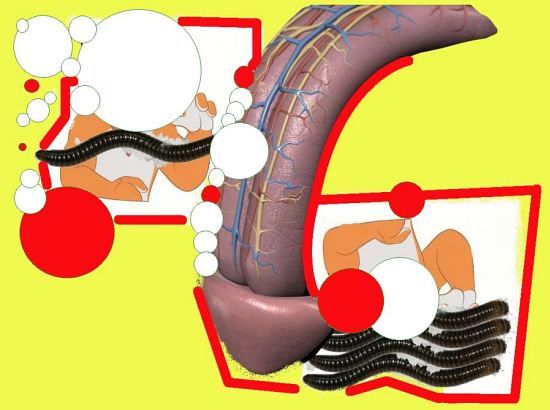 Arms, legs, bubbles, phone cords and a big dick; illustration of a dream, 'Tortoiseshell Guilt', by Monk Eye. Click to enlarge.